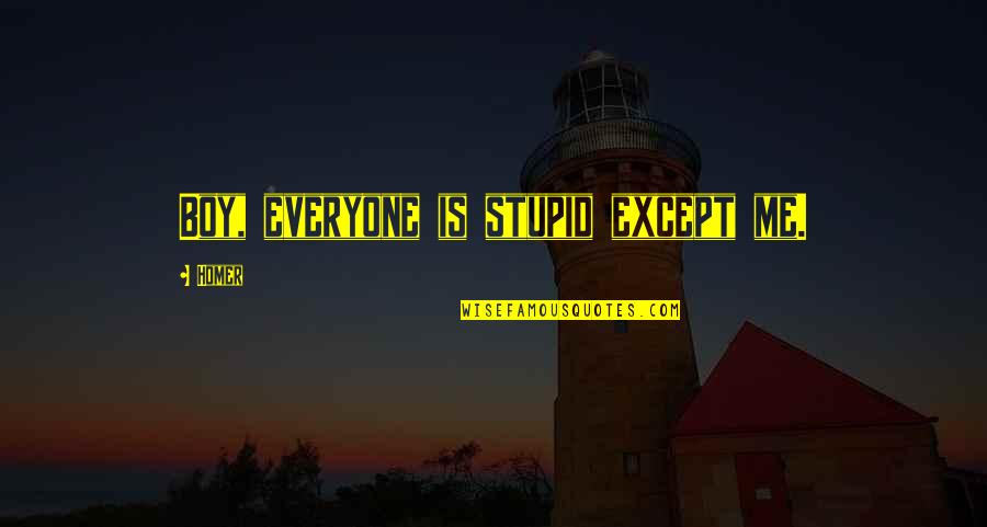 Putting Love On Hold Quotes By Homer: Boy, everyone is stupid except me.