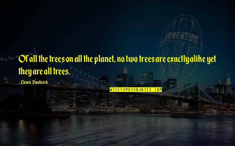 Putting On A Front Quotes By Laura Paulisich: Of all the trees on all the planet,