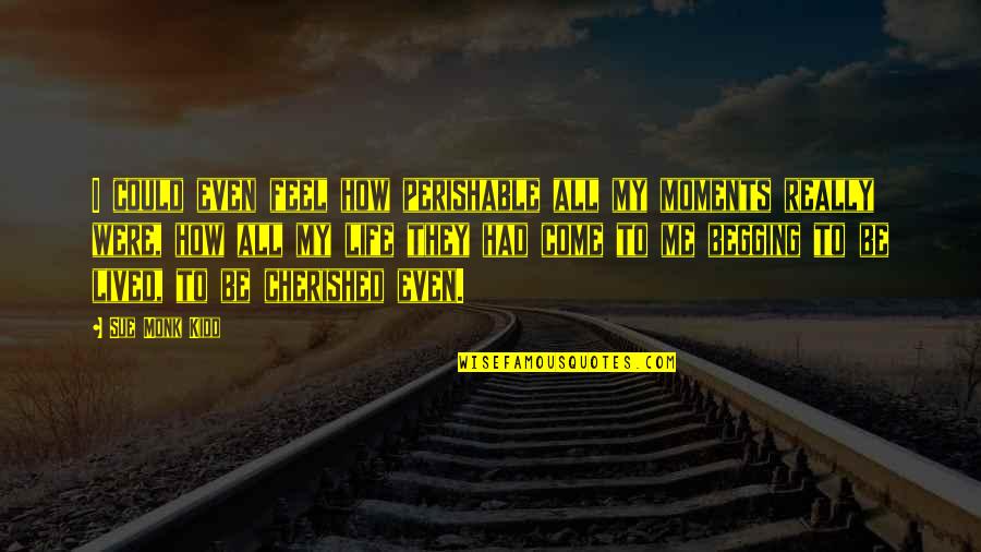 Putting Out Positive Energy Quotes By Sue Monk Kidd: I could even feel how perishable all my