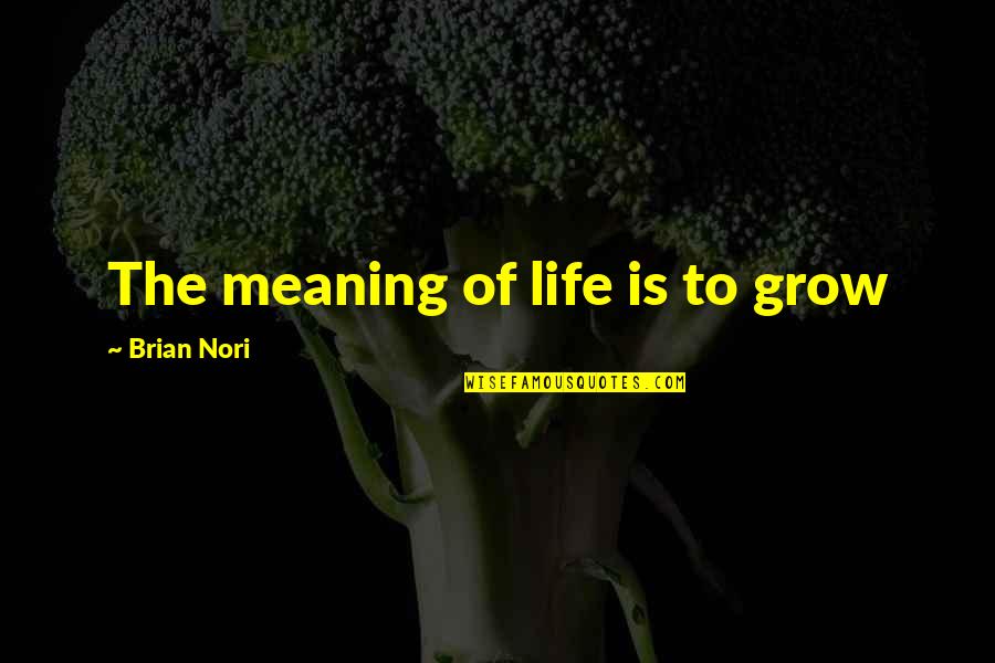 Putting Past Behind You Quotes By Brian Nori: The meaning of life is to grow Putting Past Behind You Quotes By Brian Nori: The meaning of life is to grow