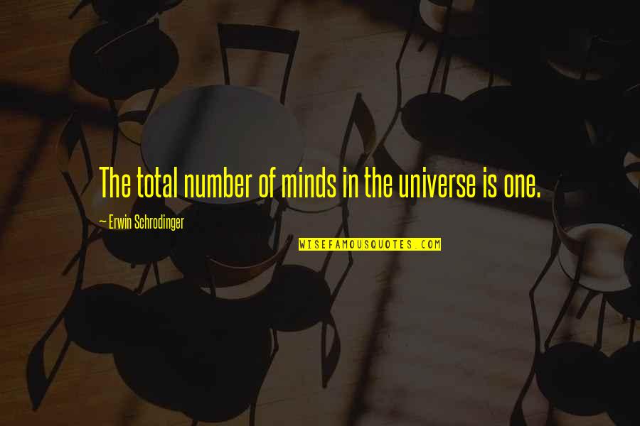 Putting Words In My Mouth Quotes By Erwin Schrodinger: The total number of minds in the universe