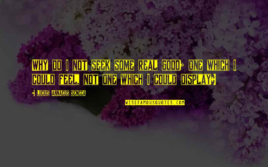 Putting Your Pride Aside Quotes By Lucius Annaeus Seneca: Why do I not seek some real good;