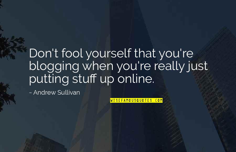 Putting Yourself Out There Quotes By Andrew Sullivan: Don't fool yourself that you're blogging when you're