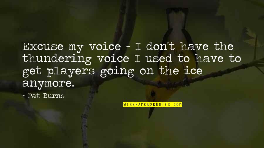 Puyuh In English Quotes By Pat Burns: Excuse my voice - I don't have the