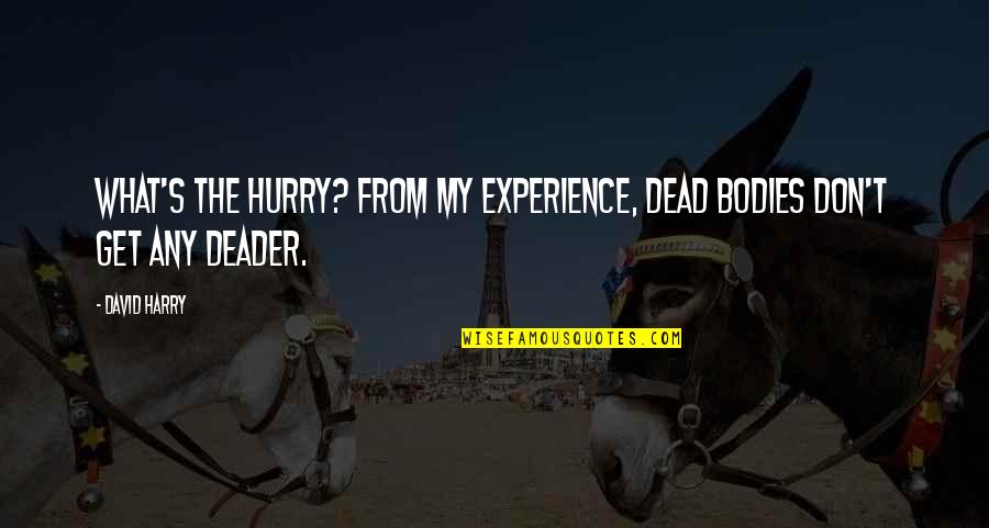 Puzzle Mystery Quotes By David Harry: What's the hurry? From my experience, dead bodies