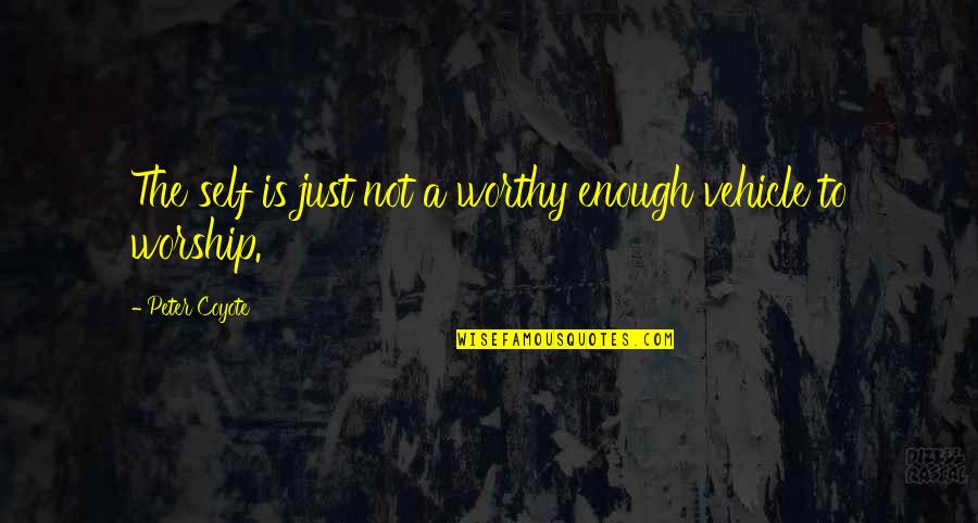 Puzzles And Love Quotes By Peter Coyote: The self is just not a worthy enough Puzzles And Love Quotes By Peter Coyote: The self is just not a worthy enough