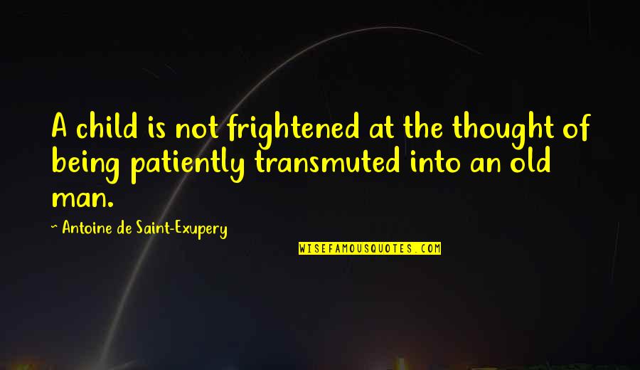 Pvp Quotes By Antoine De Saint-Exupery: A child is not frightened at the thought