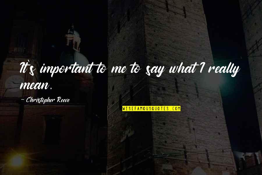 Pyotr Ouspensky Quotes By Christopher Reeve: It's important to me to say what I Pyotr Ouspensky Quotes By Christopher Reeve: It's important to me to say what I