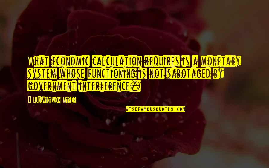 Pyramides Thales Quotes By Ludwig Von Mises: What economic calculation requires is a monetary system