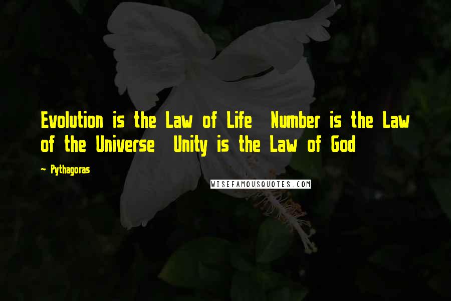 Pythagoras quotes: Evolution is the Law of Life Number is the Law of the Universe Unity is the Law of God