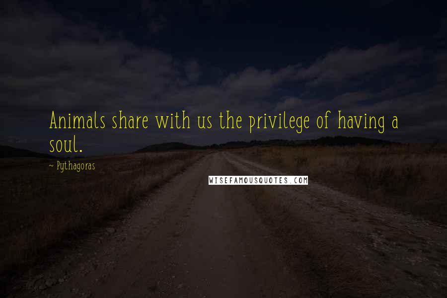 Pythagoras quotes: Animals share with us the privilege of having a soul.