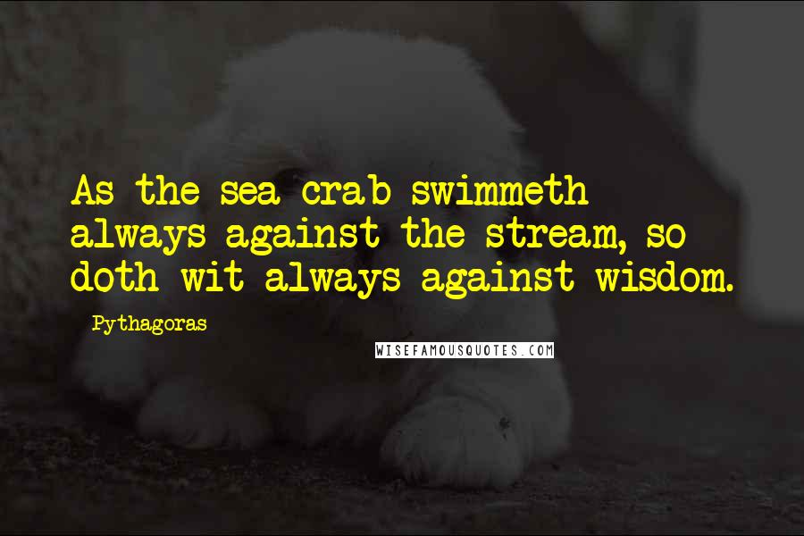 Pythagoras quotes: As the sea-crab swimmeth always against the stream, so doth wit always against wisdom.