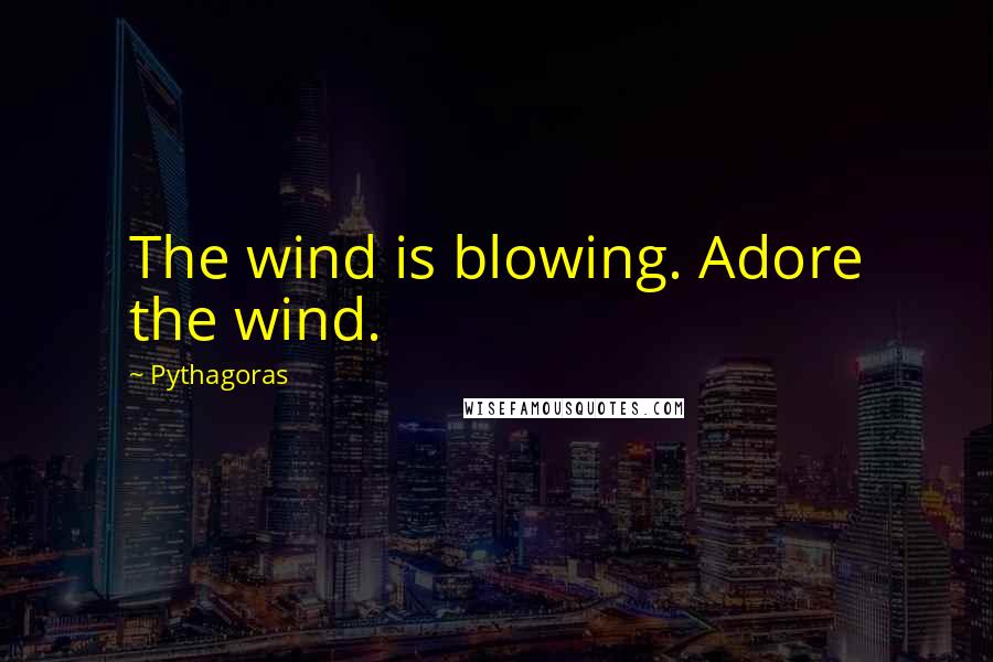 Pythagoras quotes: The wind is blowing. Adore the wind.