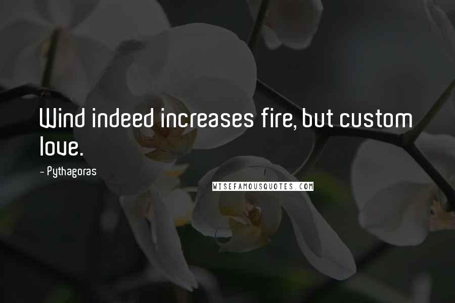 Pythagoras quotes: Wind indeed increases fire, but custom love.