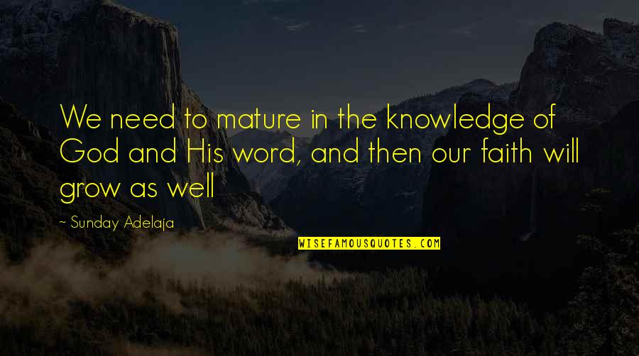 Qadiriya Quotes By Sunday Adelaja: We need to mature in the knowledge of