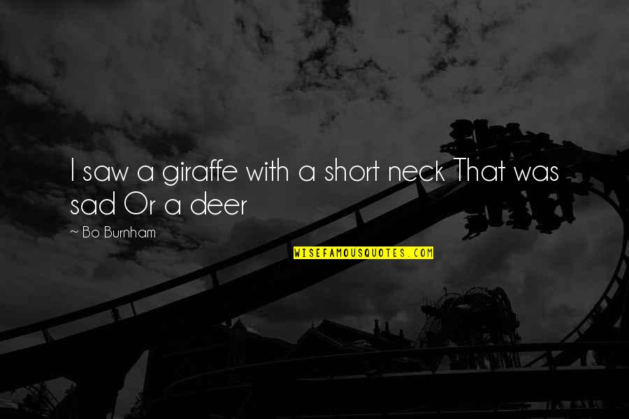 Qaida For Kids Quotes By Bo Burnham: I saw a giraffe with a short neck