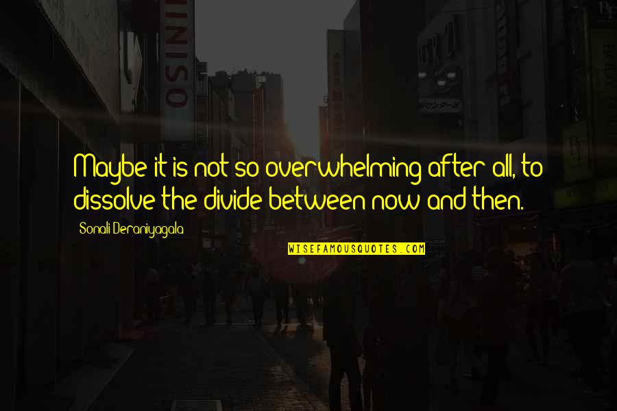 Qatar Airways Cargo Rate Quote Quotes By Sonali Deraniyagala: Maybe it is not so overwhelming after all, Qatar Airways Cargo Rate Quote Quotes By Sonali Deraniyagala: Maybe it is not so overwhelming after all,