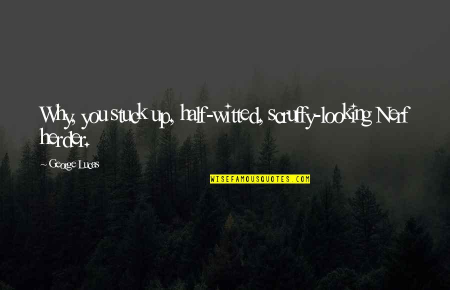 Qendrimi Quotes By George Lucas: Why, you stuck up, half-witted, scruffy-looking Nerf herder.