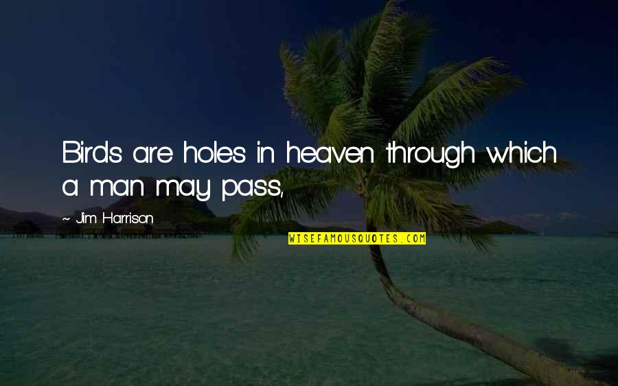 Qetsiyah Quotes By Jim Harrison: Birds are holes in heaven through which a Qetsiyah Quotes By Jim Harrison: Birds are holes in heaven through which a