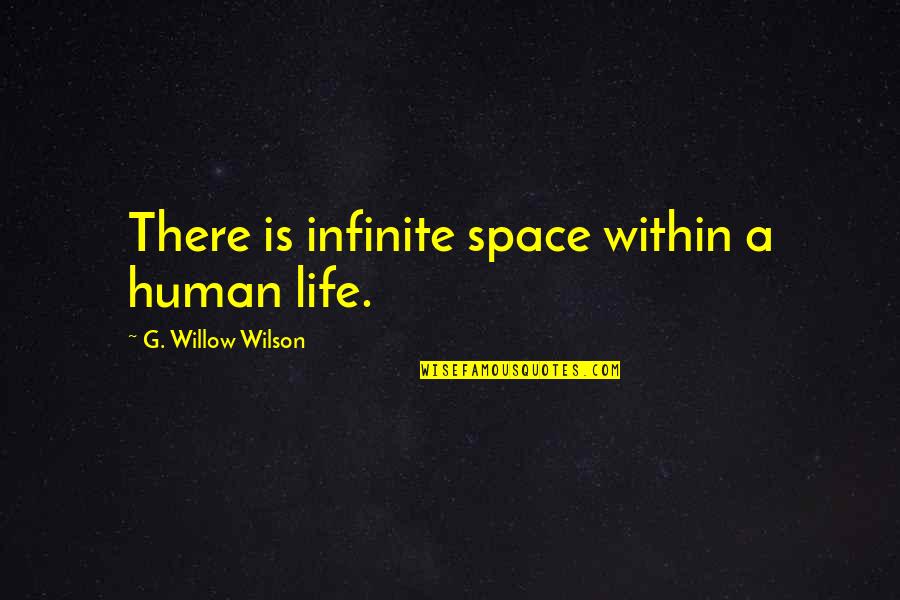 Qinling Shandi Quotes By G. Willow Wilson: There is infinite space within a human life. Qinling Shandi Quotes By G. Willow Wilson: There is infinite space within a human life.