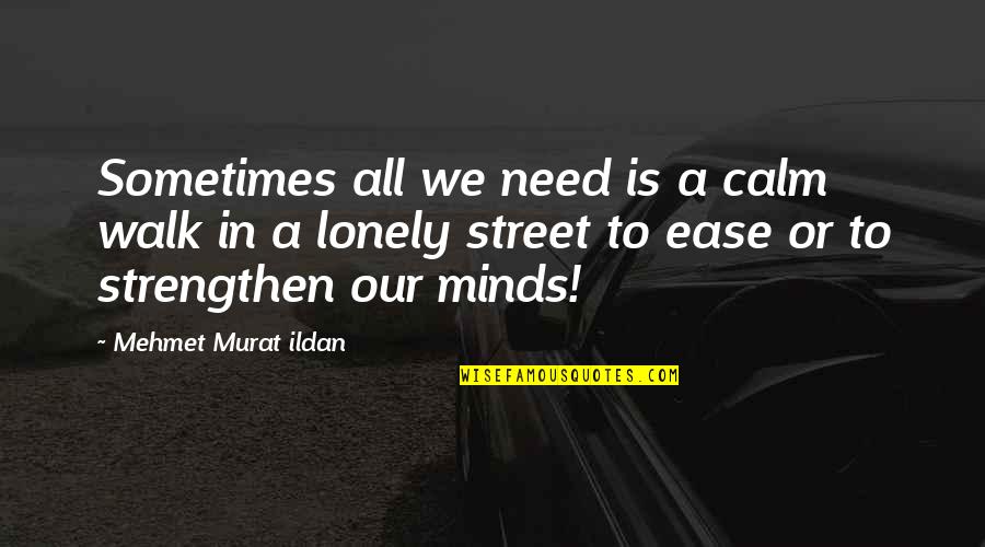 Qiyamul Lail Quotes By Mehmet Murat Ildan: Sometimes all we need is a calm walk Qiyamul Lail Quotes By Mehmet Murat Ildan: Sometimes all we need is a calm walk
