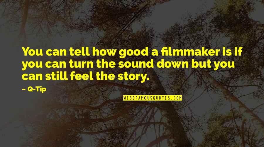 Q'orianka Quotes By Q-Tip: You can tell how good a filmmaker is