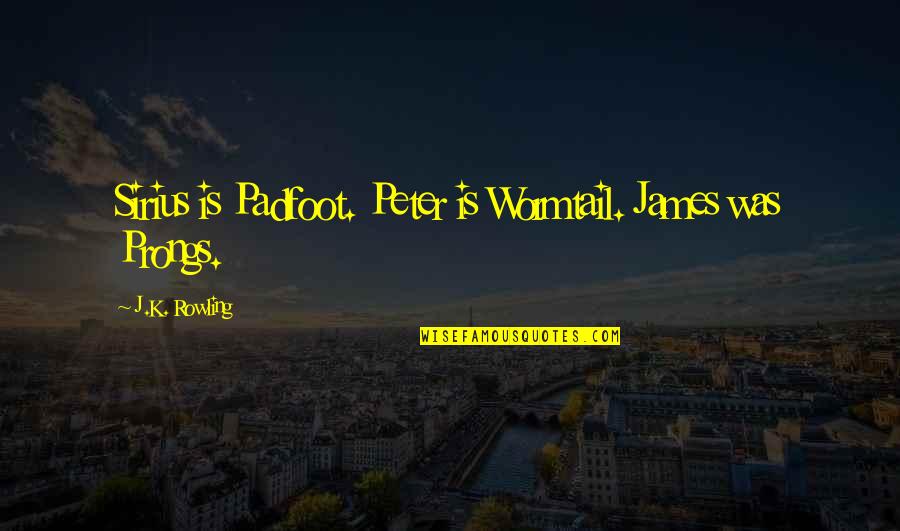 Quadrilles Quotes By J.K. Rowling: Sirius is Padfoot. Peter is Wormtail. James was