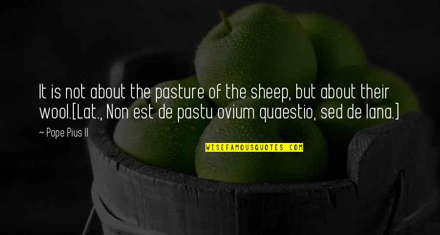 Quaestio Quotes By Pope Pius II: It is not about the pasture of the Quaestio Quotes By Pope Pius II: It is not about the pasture of the