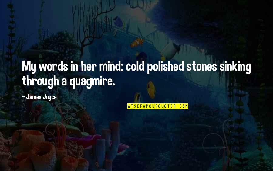 Quagmire Best Quotes By James Joyce: My words in her mind: cold polished stones