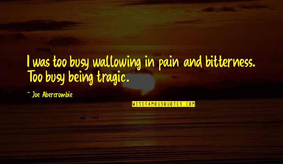 Quaisquer Qualquer Quotes By Joe Abercrombie: I was too busy wallowing in pain and Quaisquer Qualquer Quotes By Joe Abercrombie: I was too busy wallowing in pain and