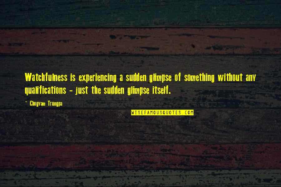 Qualifications Best Quotes By Chogyam Trungpa: Watchfulness is experiencing a sudden glimpse of something Qualifications Best Quotes By Chogyam Trungpa: Watchfulness is experiencing a sudden glimpse of something