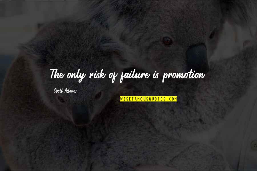 Quality Better Than Quantity Quotes By Scott Adams: The only risk of failure is promotion.