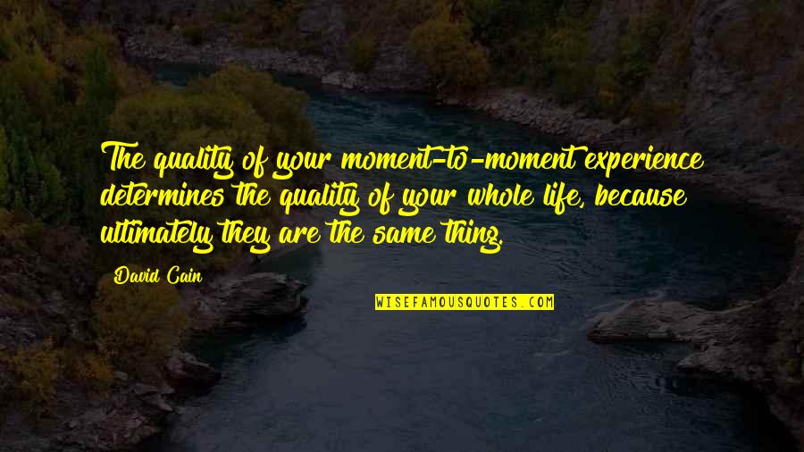 Quality Life Quotes By David Cain: The quality of your moment-to-moment experience determines the