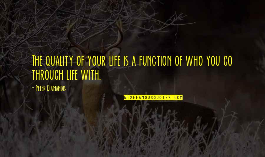 Quality Of Your Life Quotes By Peter Diamandis: The quality of your life is a function