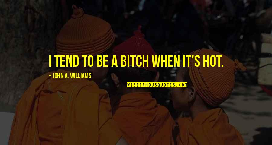 Quandary In A Sentence Quotes By John A. Williams: I tend to be a bitch when it's