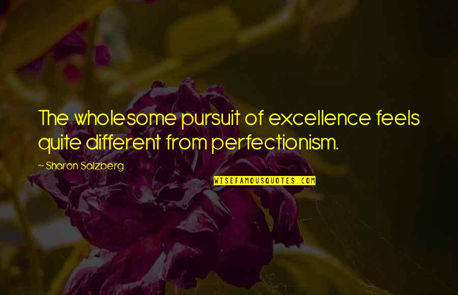 Quandary In A Sentence Quotes By Sharon Salzberg: The wholesome pursuit of excellence feels quite different
