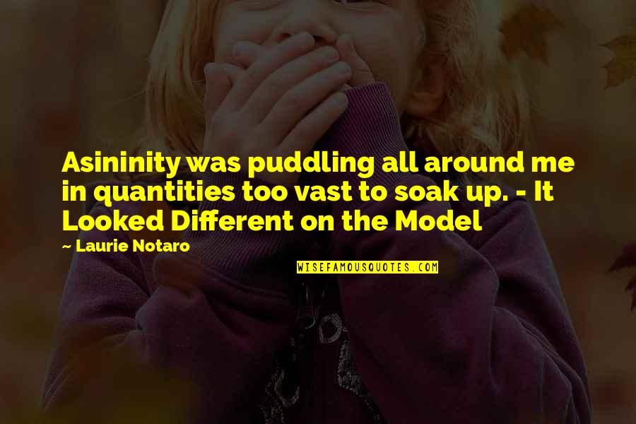 Quantities Quotes By Laurie Notaro: Asininity was puddling all around me in quantities