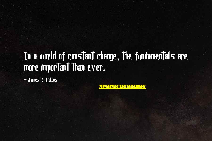 Quantity Of Work Quotes By James C. Collins: In a world of constant change, the fundamentals