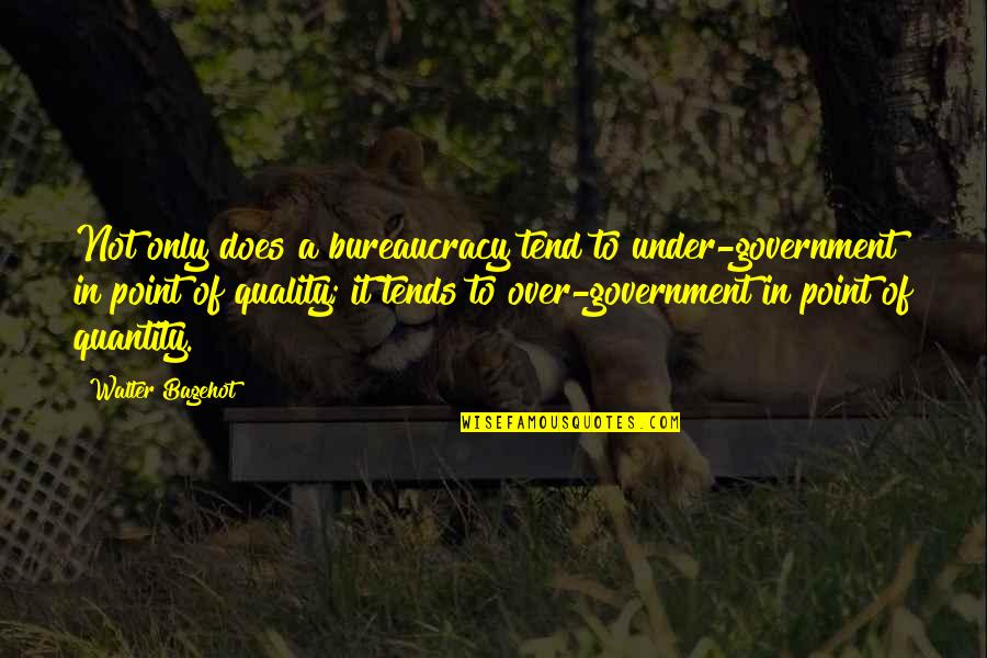 Quantity Quotes By Walter Bagehot: Not only does a bureaucracy tend to under-government