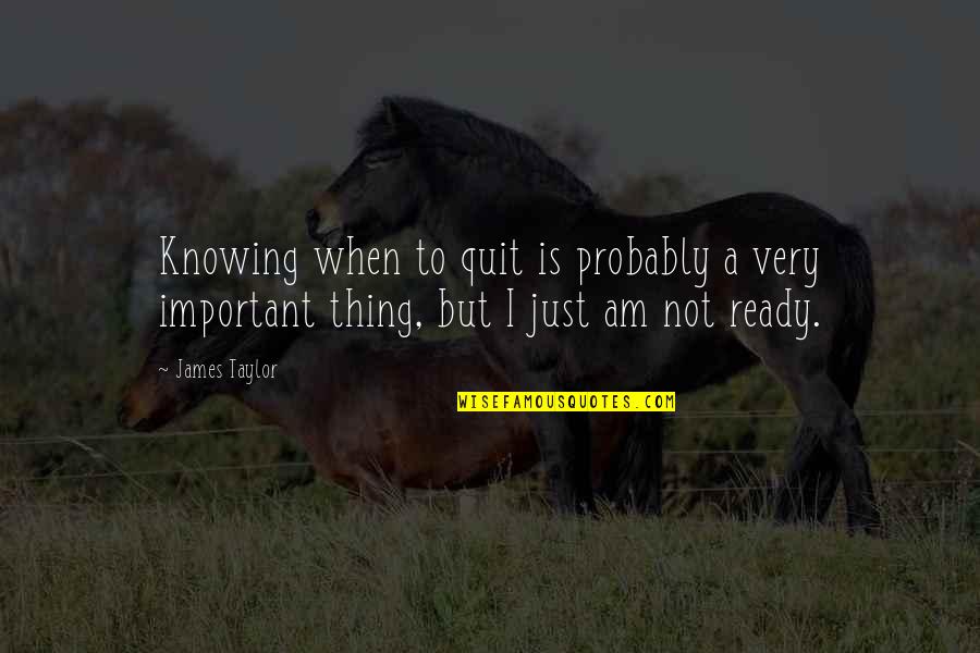 Quantum Love Quotes By James Taylor: Knowing when to quit is probably a very