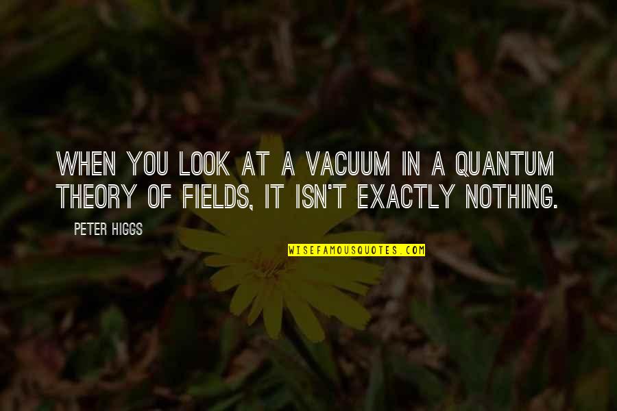 Quantum Theory Quotes By Peter Higgs: When you look at a vacuum in a