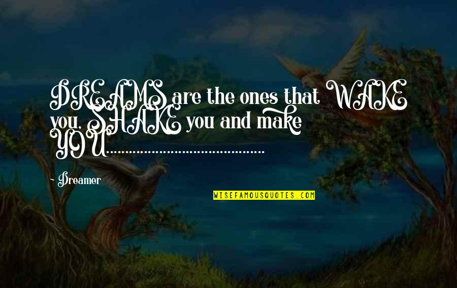 Quarrelers Quotes By Dreamer: DREAMS are the ones that WAKE you, SHAKE Quarrelers Quotes By Dreamer: DREAMS are the ones that WAKE you, SHAKE