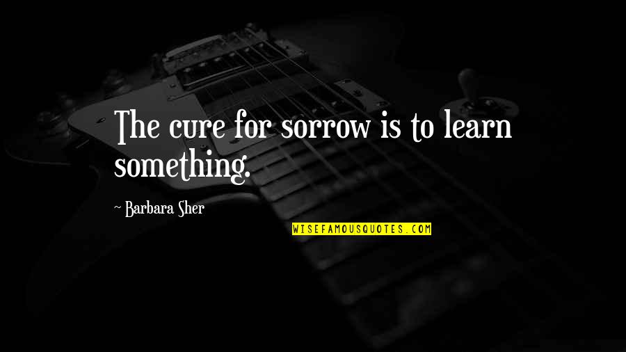 Quarrelsomeness Quotes By Barbara Sher: The cure for sorrow is to learn something.