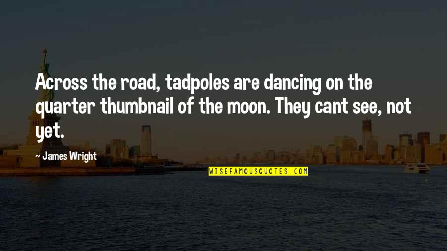 Quarter Moon Quotes By James Wright: Across the road, tadpoles are dancing on the