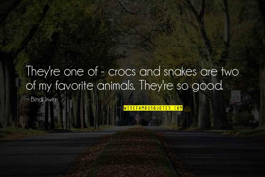 Quartermain Quotes By Bindi Irwin: They're one of - crocs and snakes are