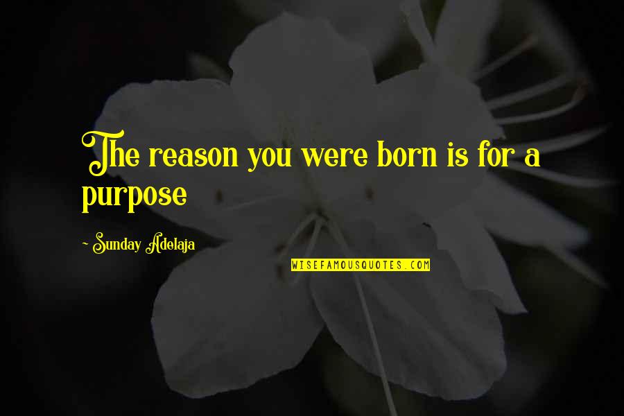 Quartey Quotes By Sunday Adelaja: The reason you were born is for a Quartey Quotes By Sunday Adelaja: The reason you were born is for a