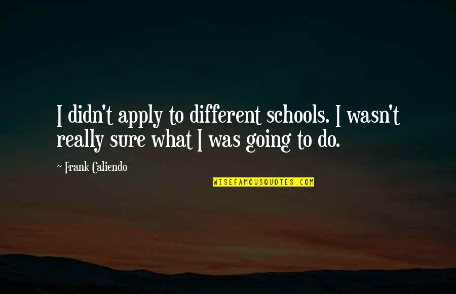 Quattrone Quotes By Frank Caliendo: I didn't apply to different schools. I wasn't