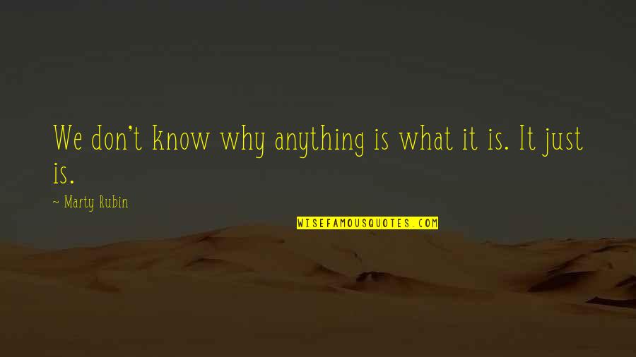 Qudsiyah Quotes By Marty Rubin: We don't know why anything is what it