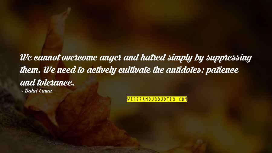 Que Frio Quotes By Dalai Lama: We cannot overcome anger and hatred simply by