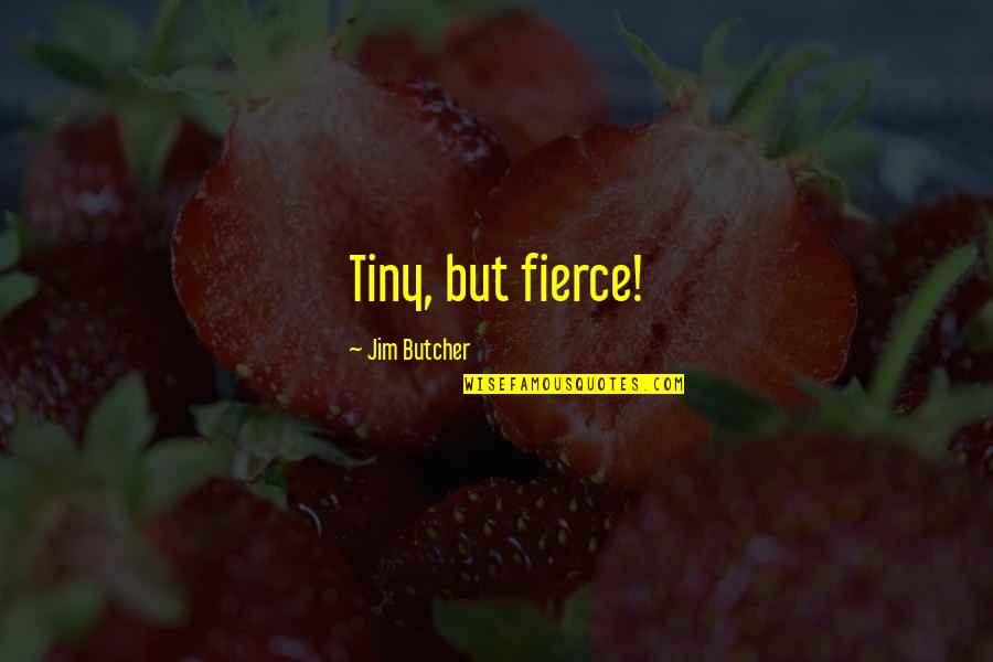 Quedando Quotes By Jim Butcher: Tiny, but fierce!